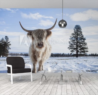 Picture of Cow In Snow